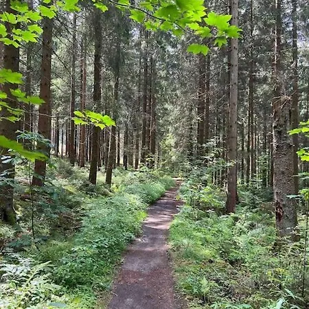 Wanderoase Waldblick Lejlighed *