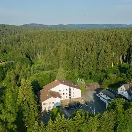 Waldblick *