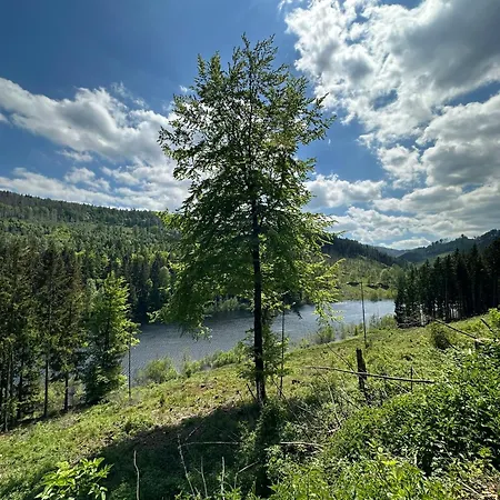 Wanderoase Waldblick *